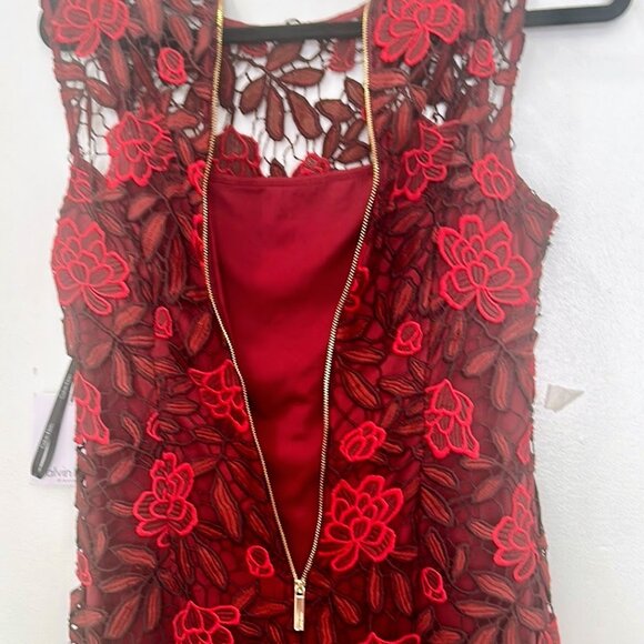 Calvin Klein Two-Tone Lace Sheath Dress - Size 6 | NWT Rosewood Red Midi - Picture 12 of 14